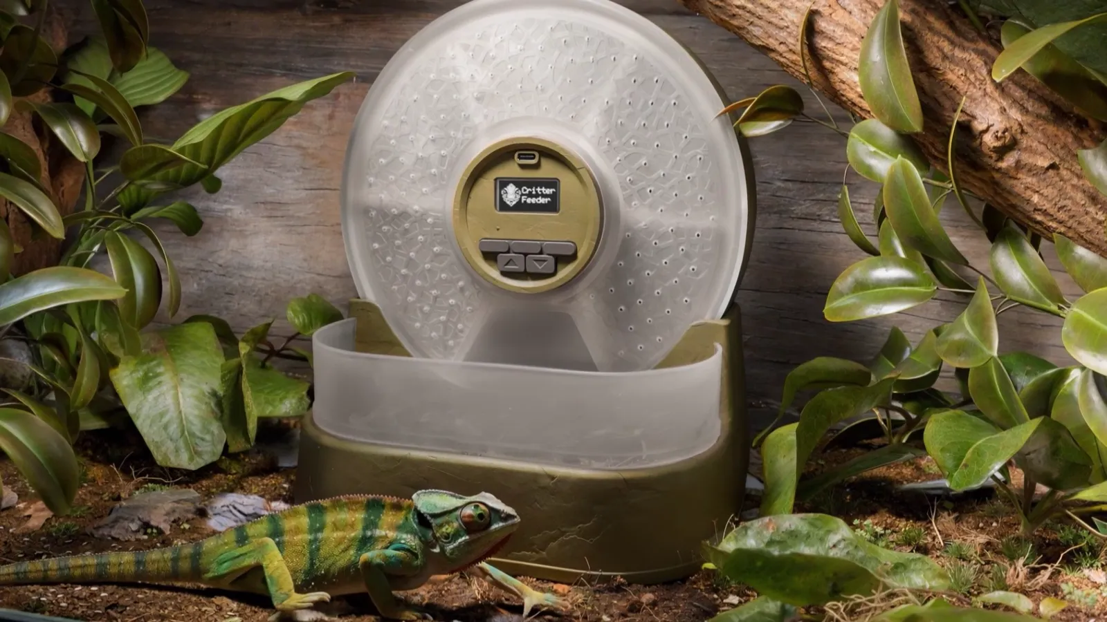 Alimentador automático dentro del hábitat de un reptil