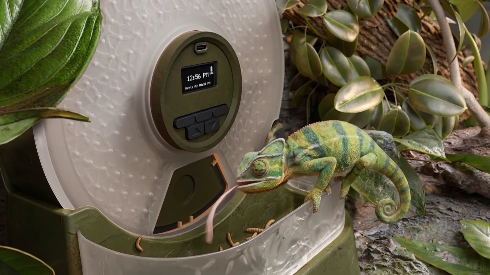 Alimentador automático instalado junto a un camaleón