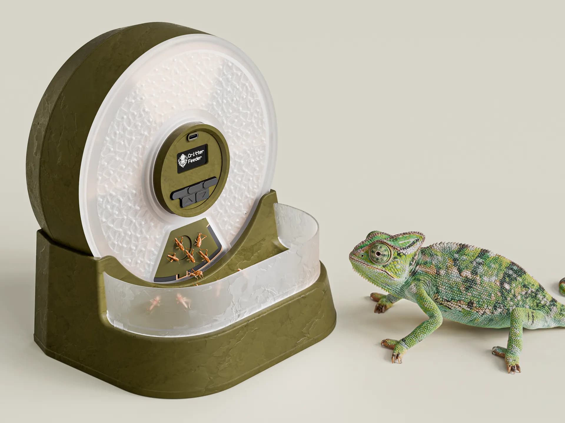 Alimentador automático para reptiles junto a un camaleón