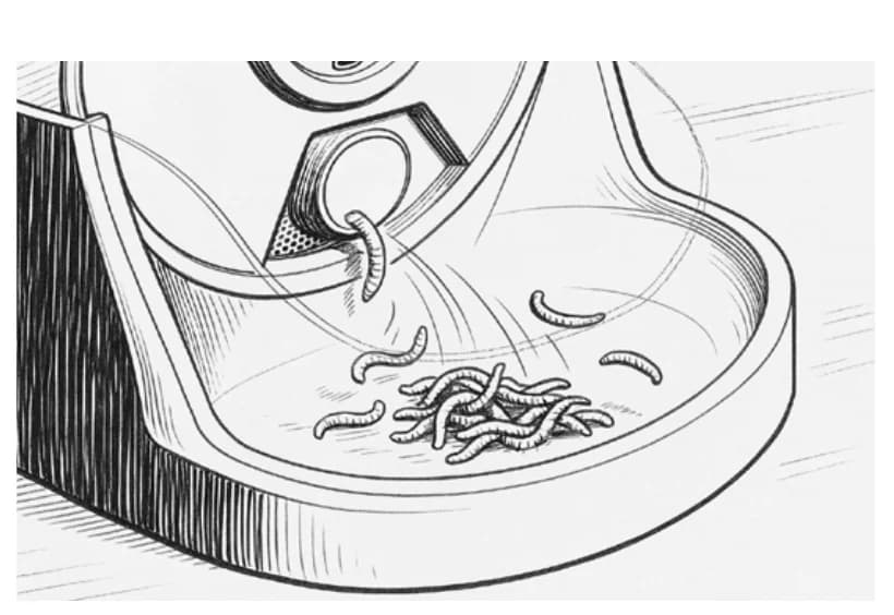 Mecanismo que dispensa alimento en la bandeja